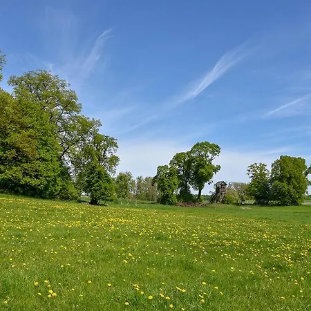 Bungis Ferien Direkt Am Grimnitzsee, Seeseite 21 Ferienhaus *